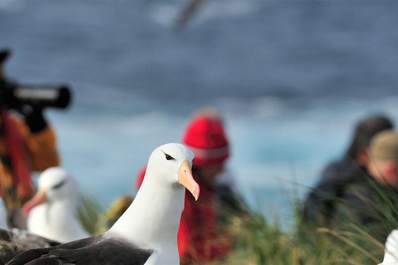 Antártida - Explorador del Mar de Weddell salida 12/02/2028