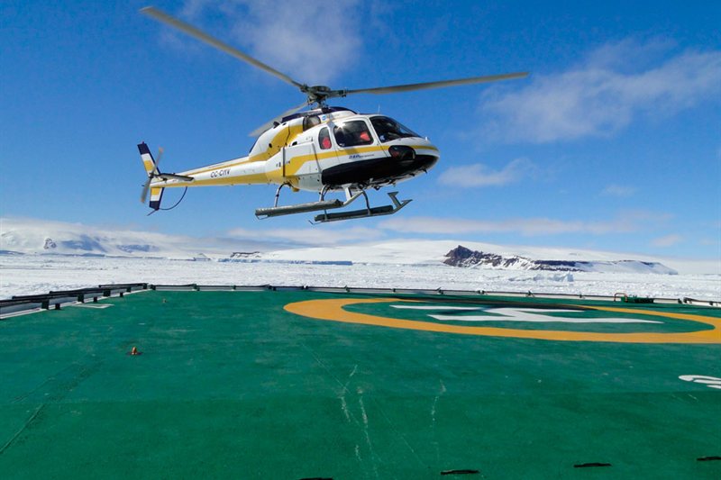 Islas Malvinas - Georgias del Sur - Península Antártica - Especial Fotográfico salida 24/10/2026