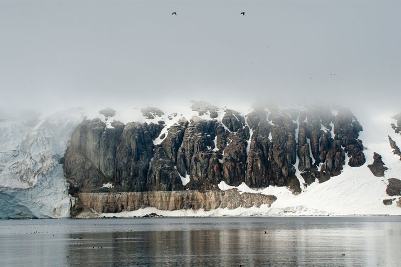 Alrededor de Spitsbergen - en El Reino de Polar Bear & Ice salida 07/07/2026