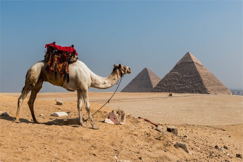 Oferta circuito Egipto (pirámides de Giza, El Cairo)