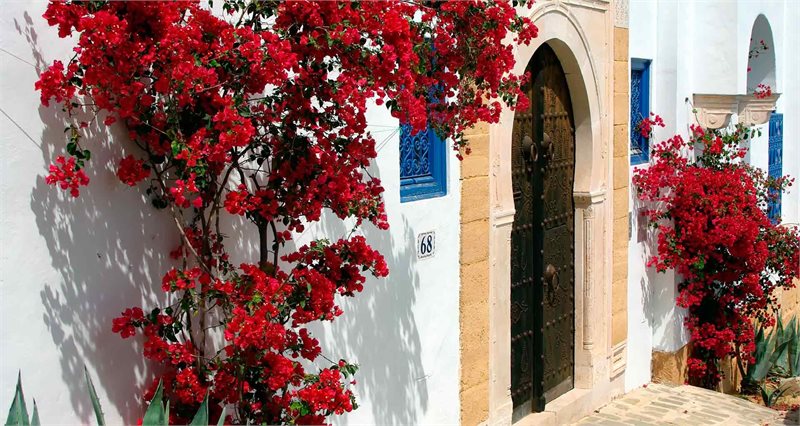 Túnez de Norte a Sur con Isla de Djerba