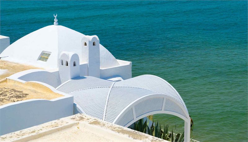 Lo mejor de Túnez, desierto y Playa